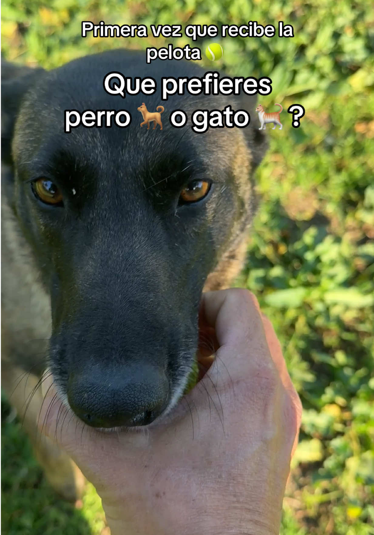 @Mi Mariela