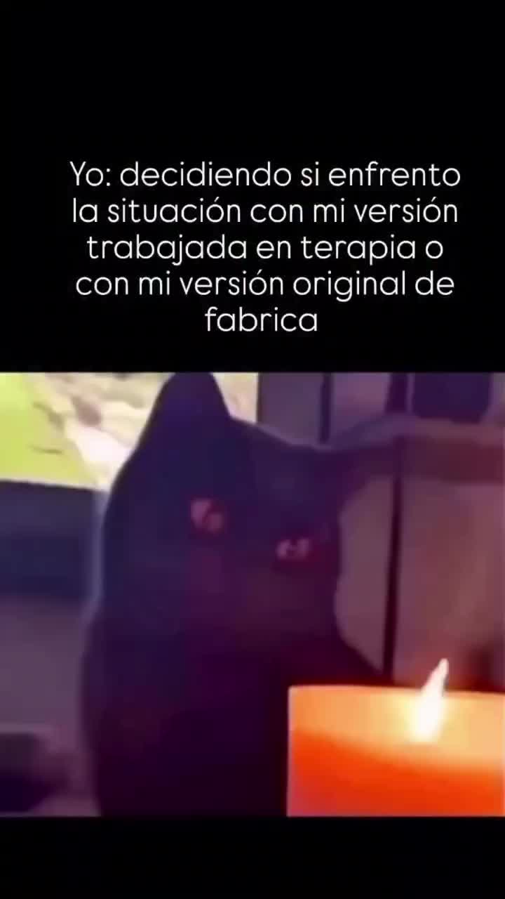 @Shiro 🐾 🐾