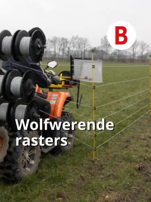 @Boerderij