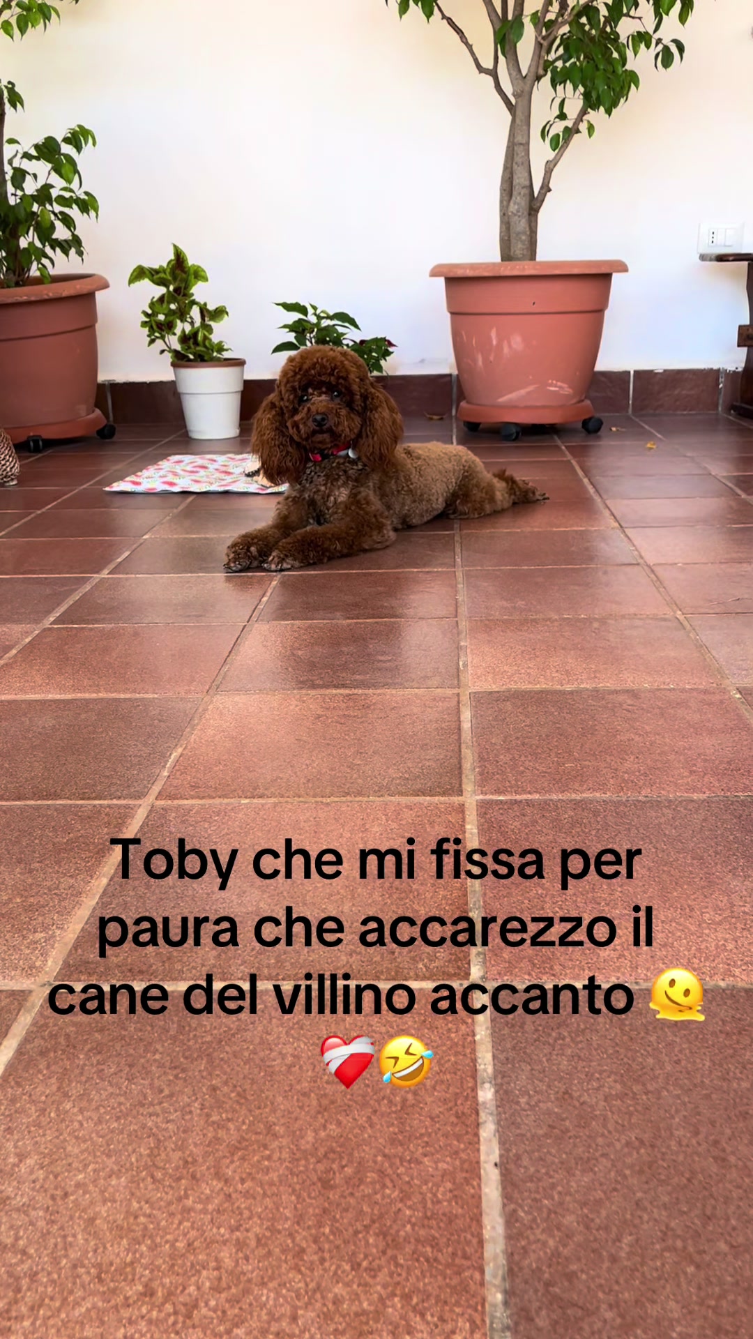 @Il mondo di Toby