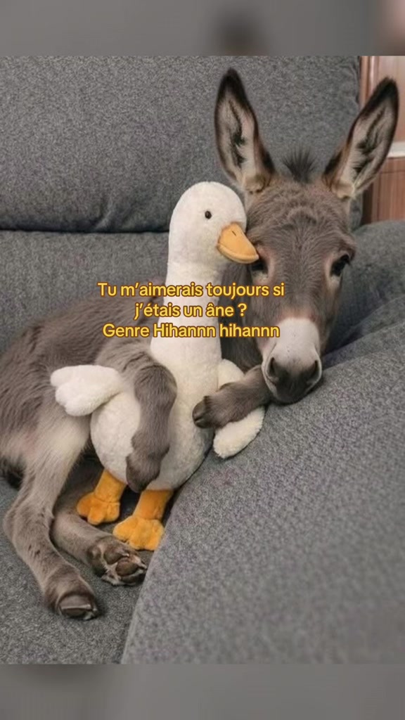 @Adèle_ 💋ᥫ᭡