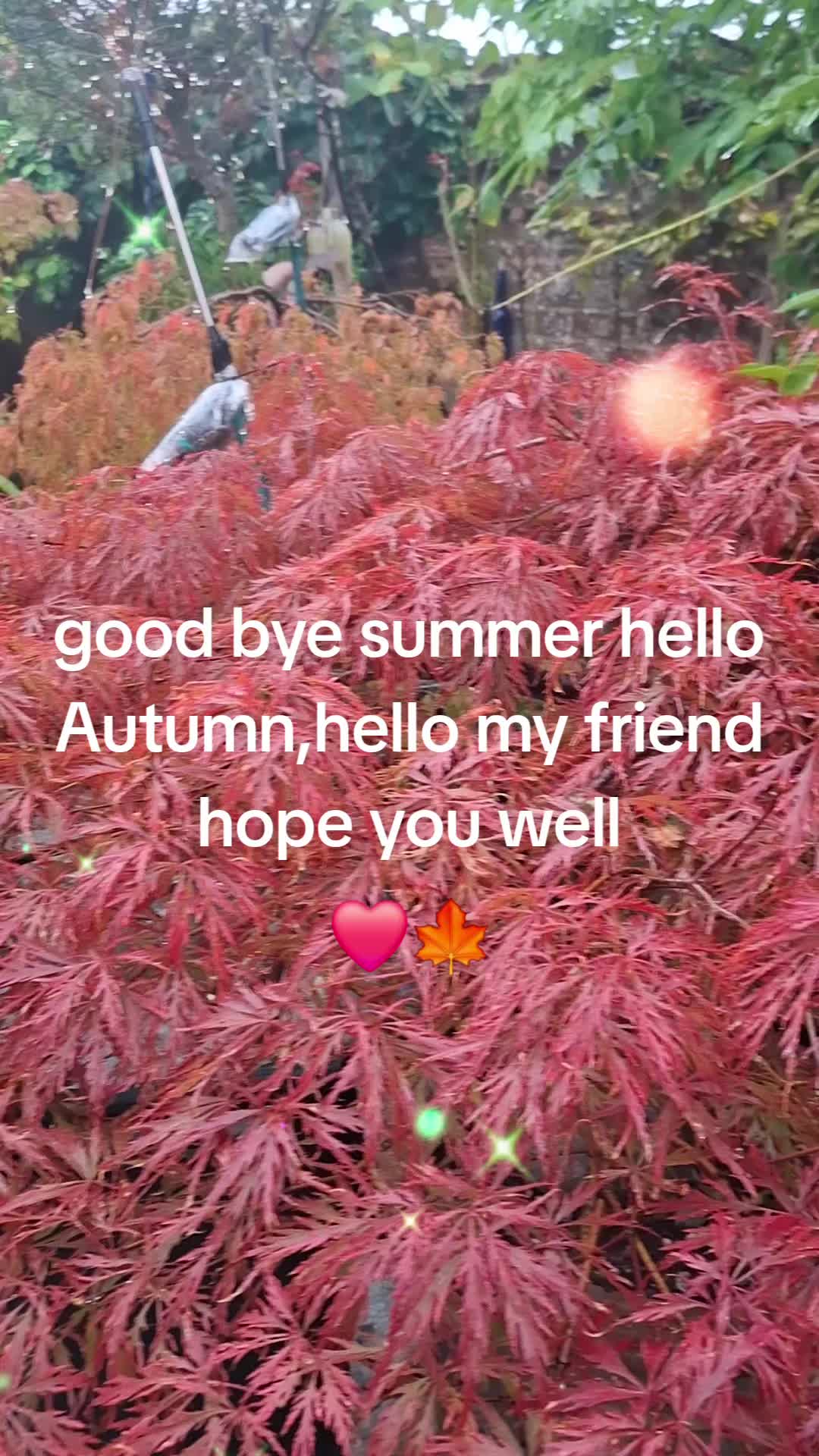 @lolagrams_05