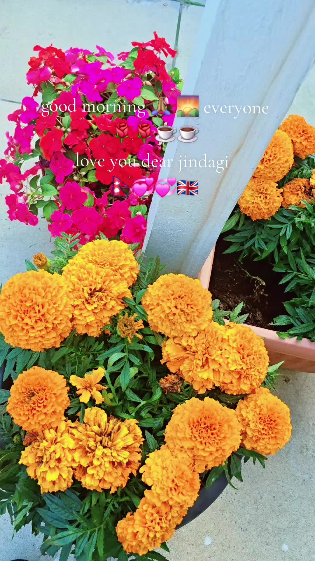 @RanuAdhikariKunwar....