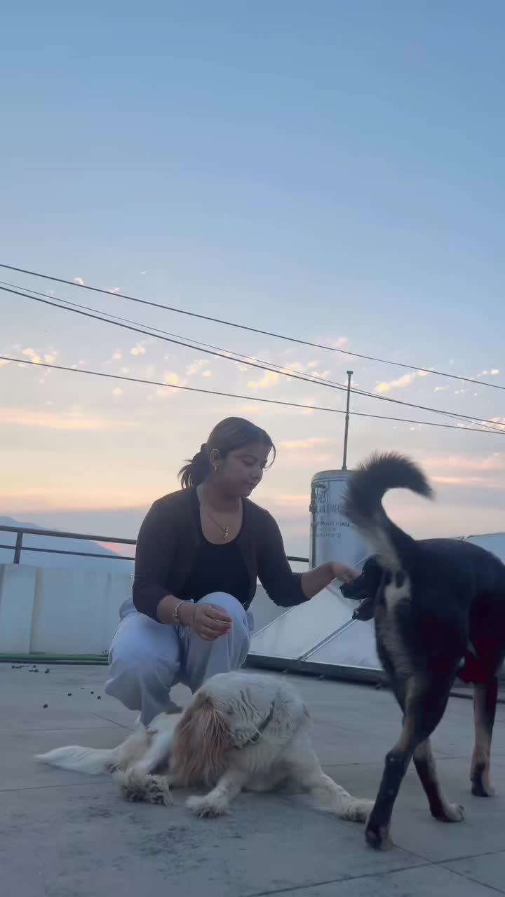 @Pukku 😋🥰