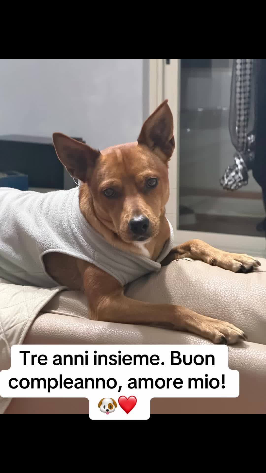 @GIUSEPPE STELLATO