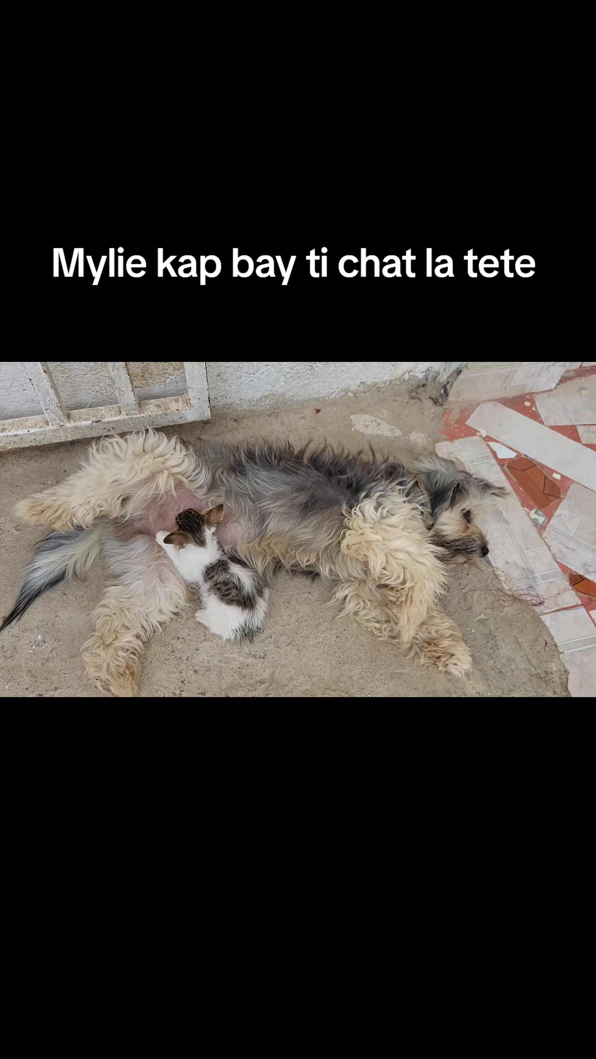 @Bendog