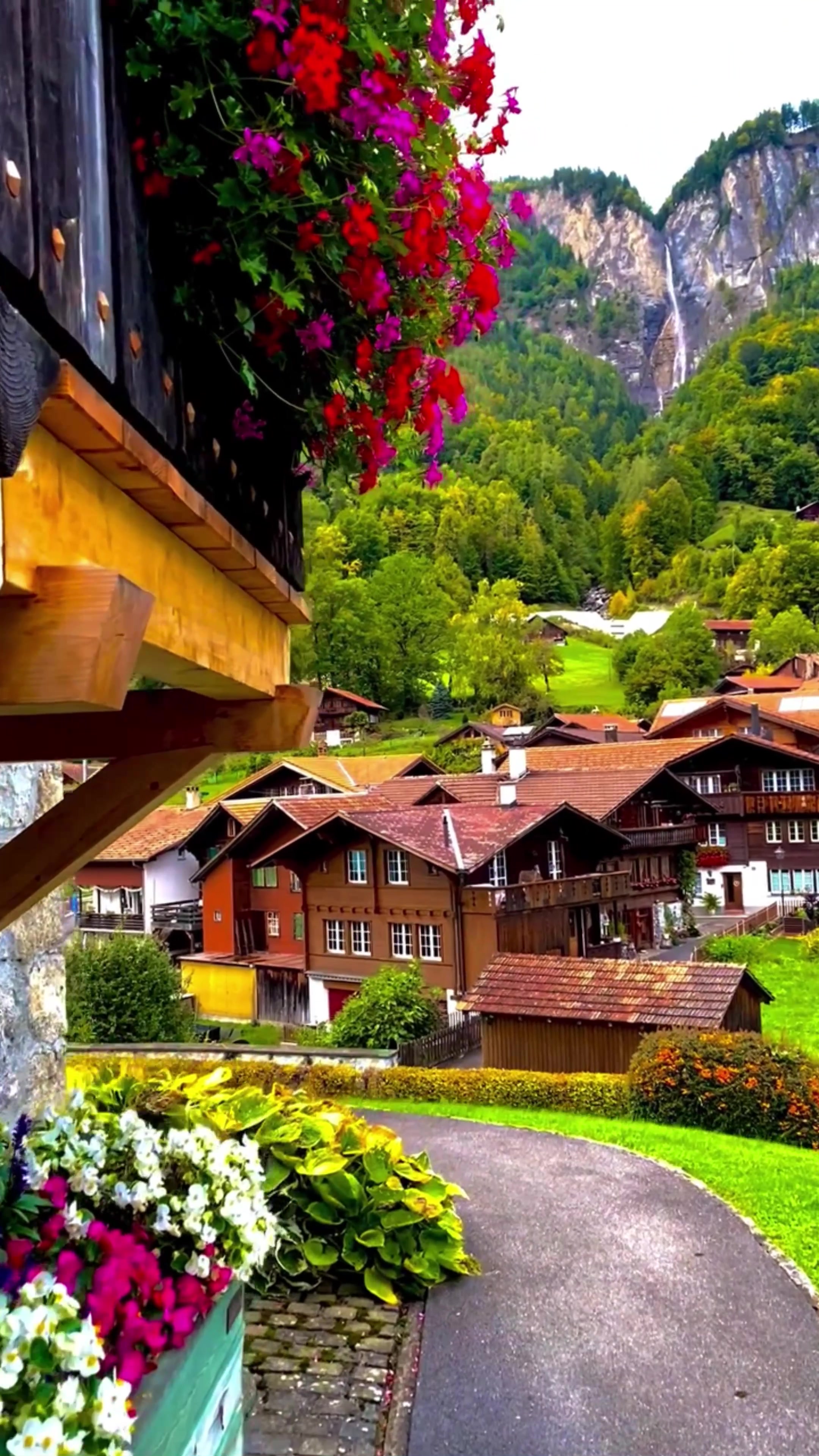 @World 🌍 beauty