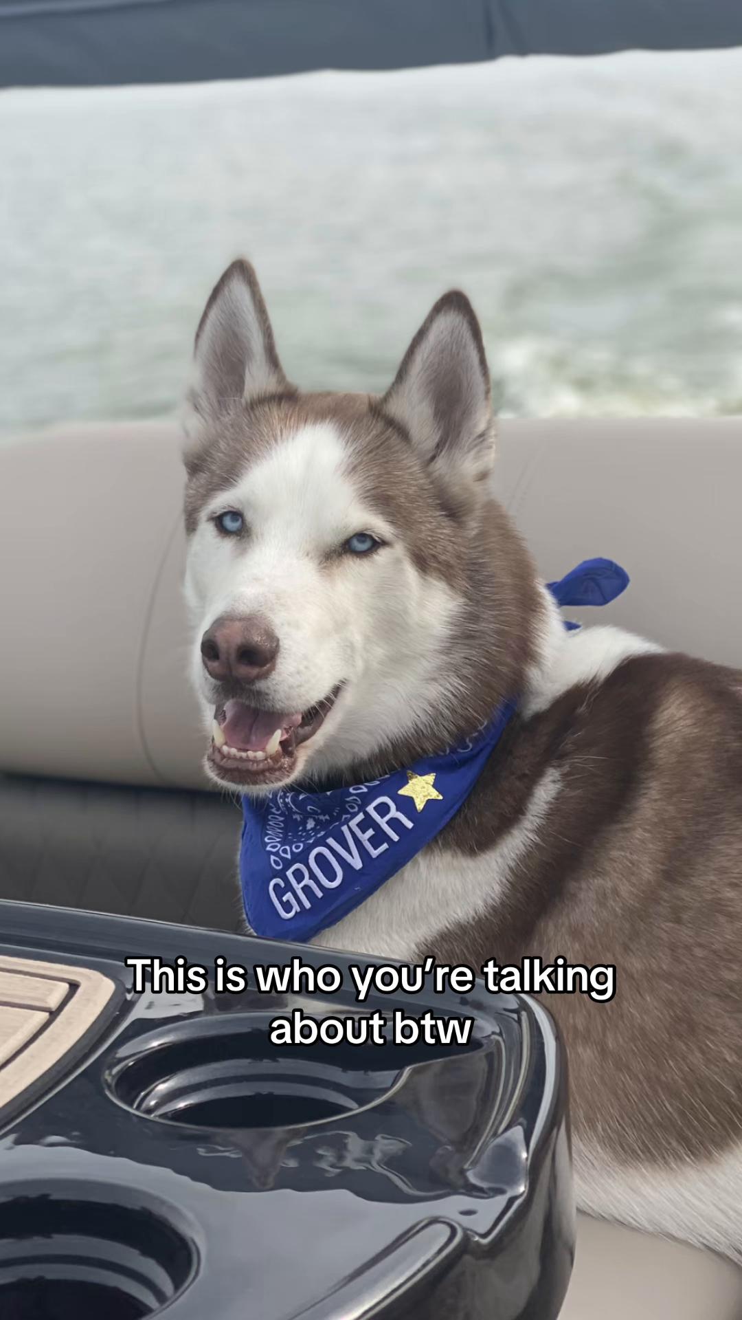 @Grover