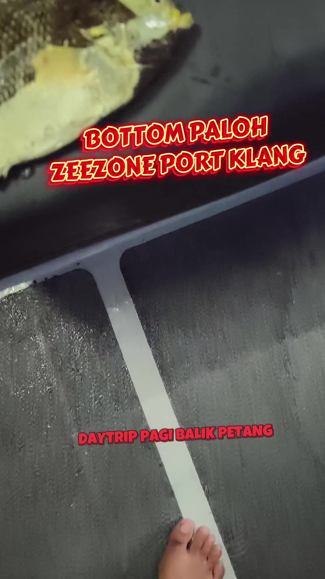 @wansyazzz
