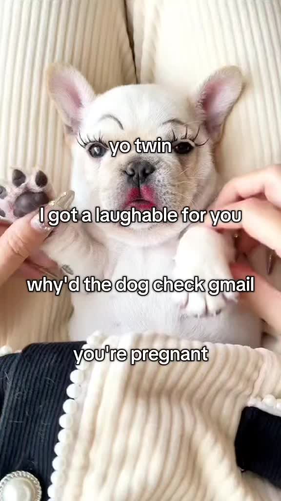 @MisterRobo