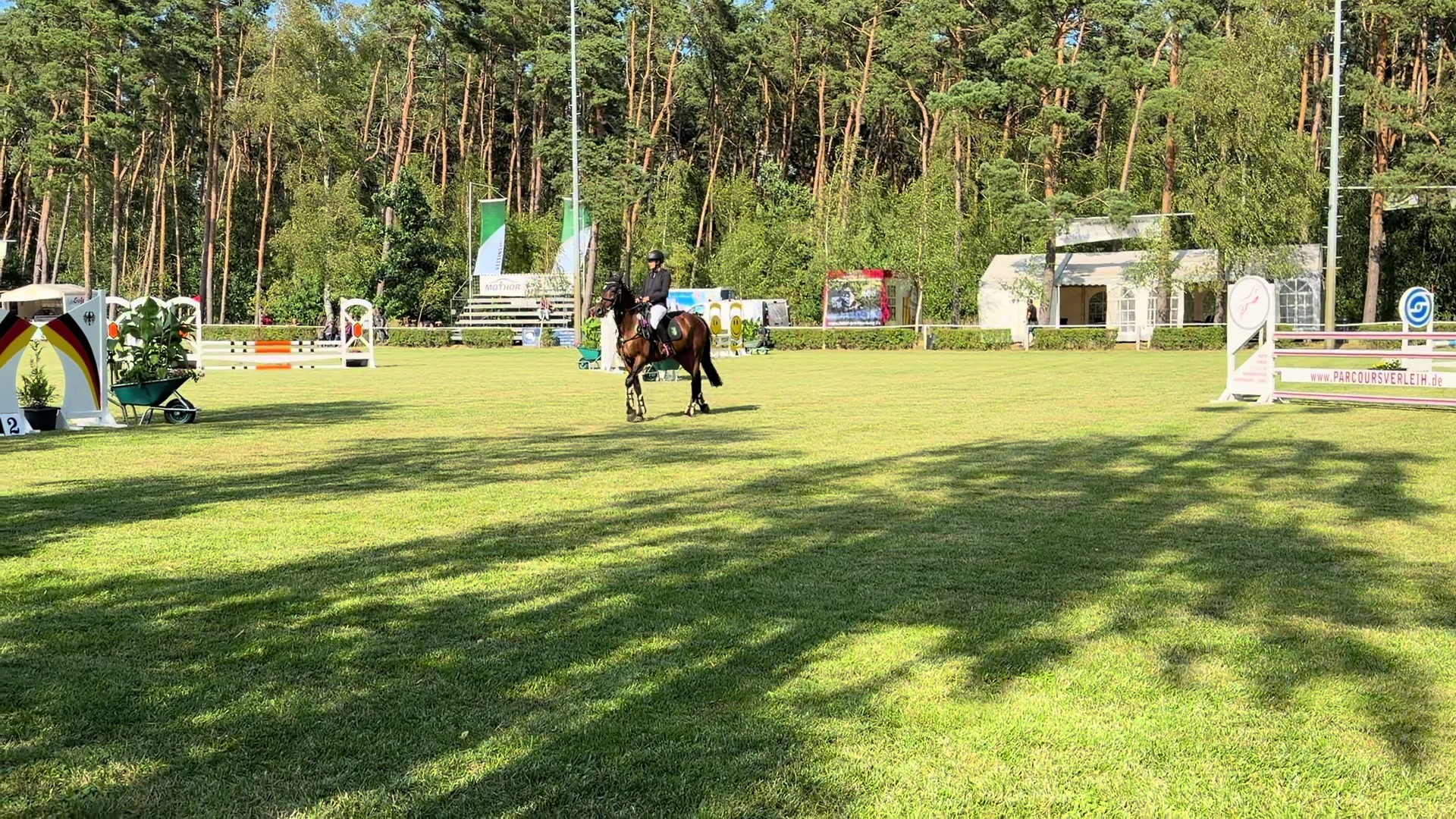 @springpony_donar