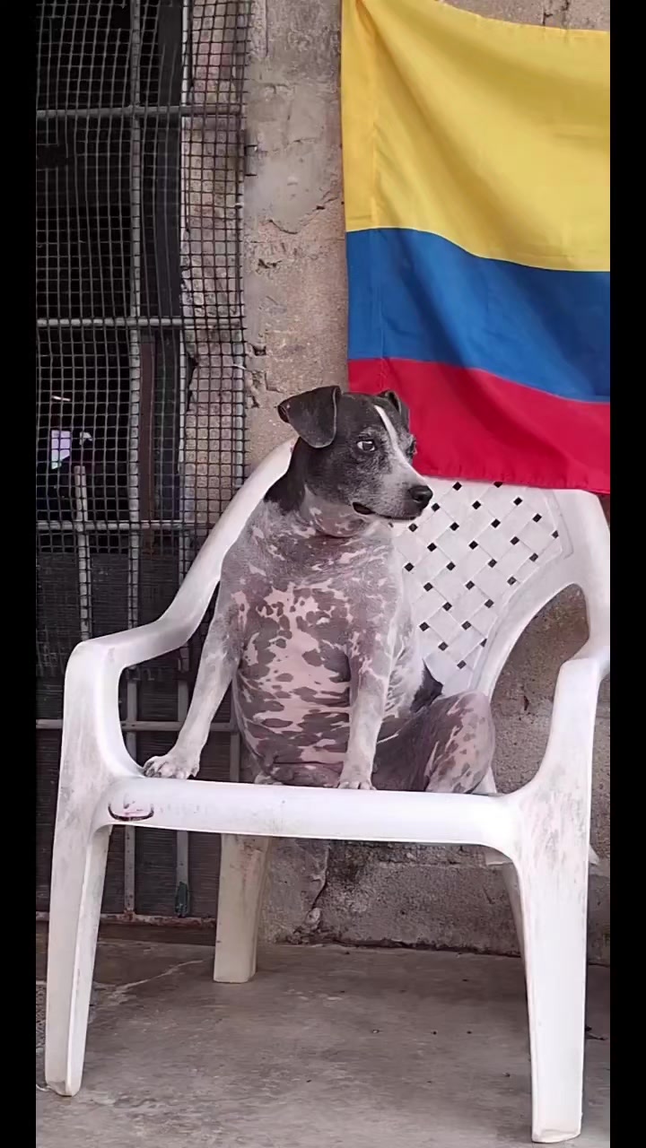@MANCHAS 0714 OFICIAL