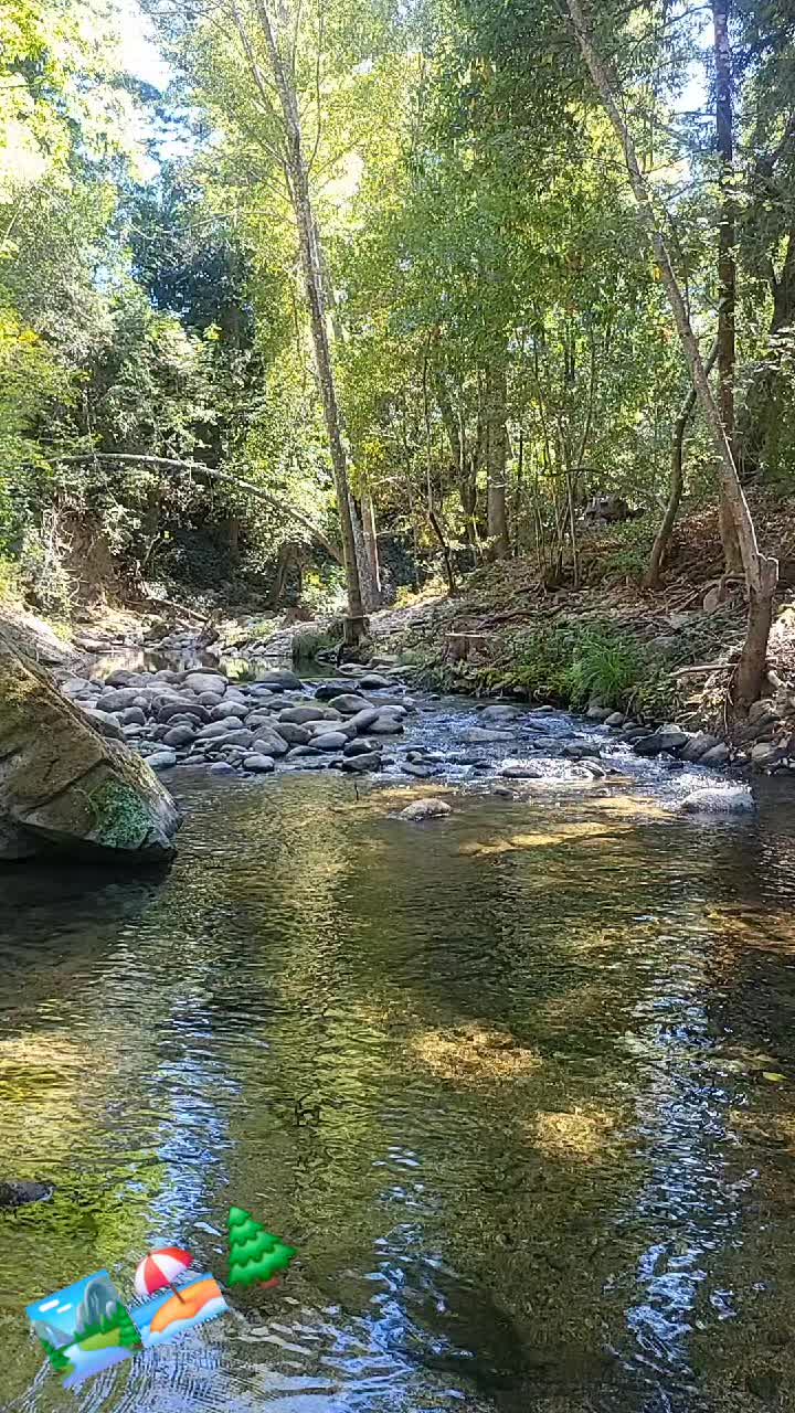 @Chapis Jimarez