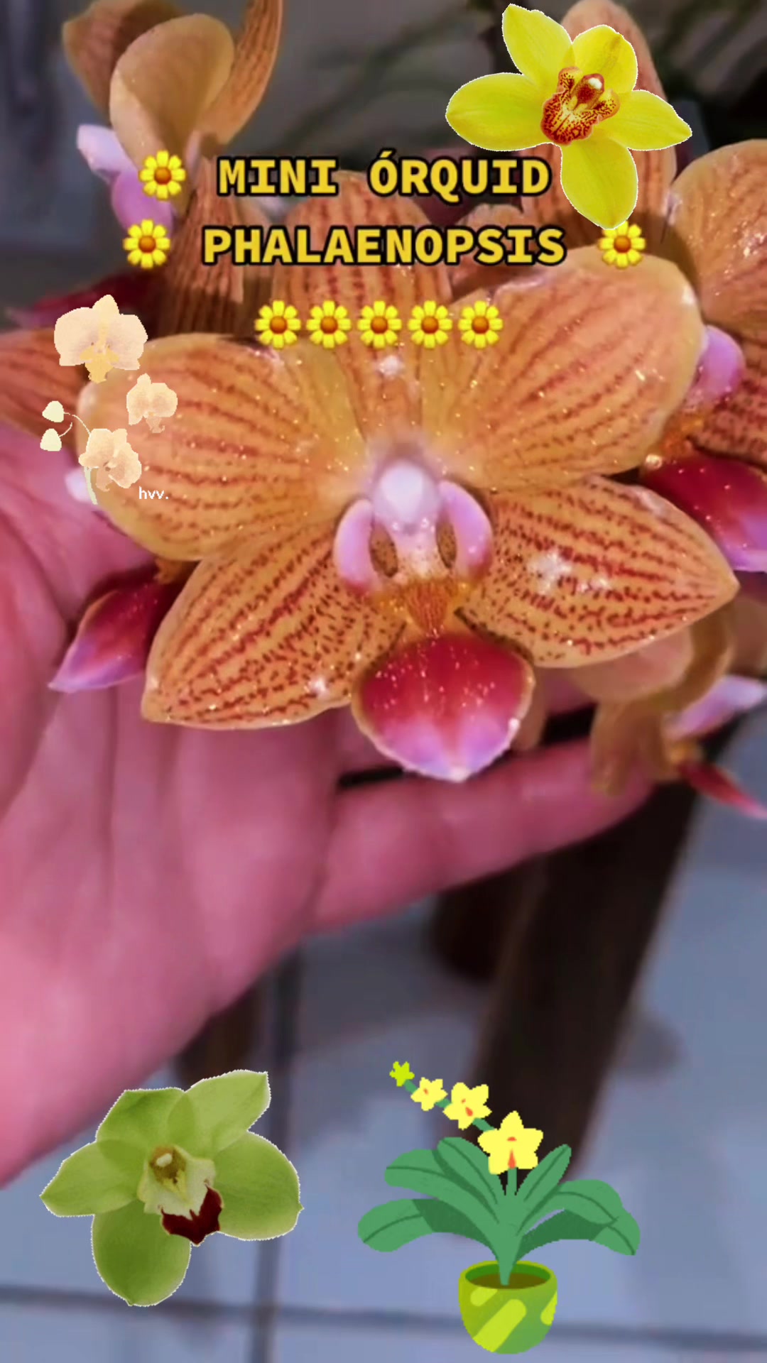 @Jacquie28