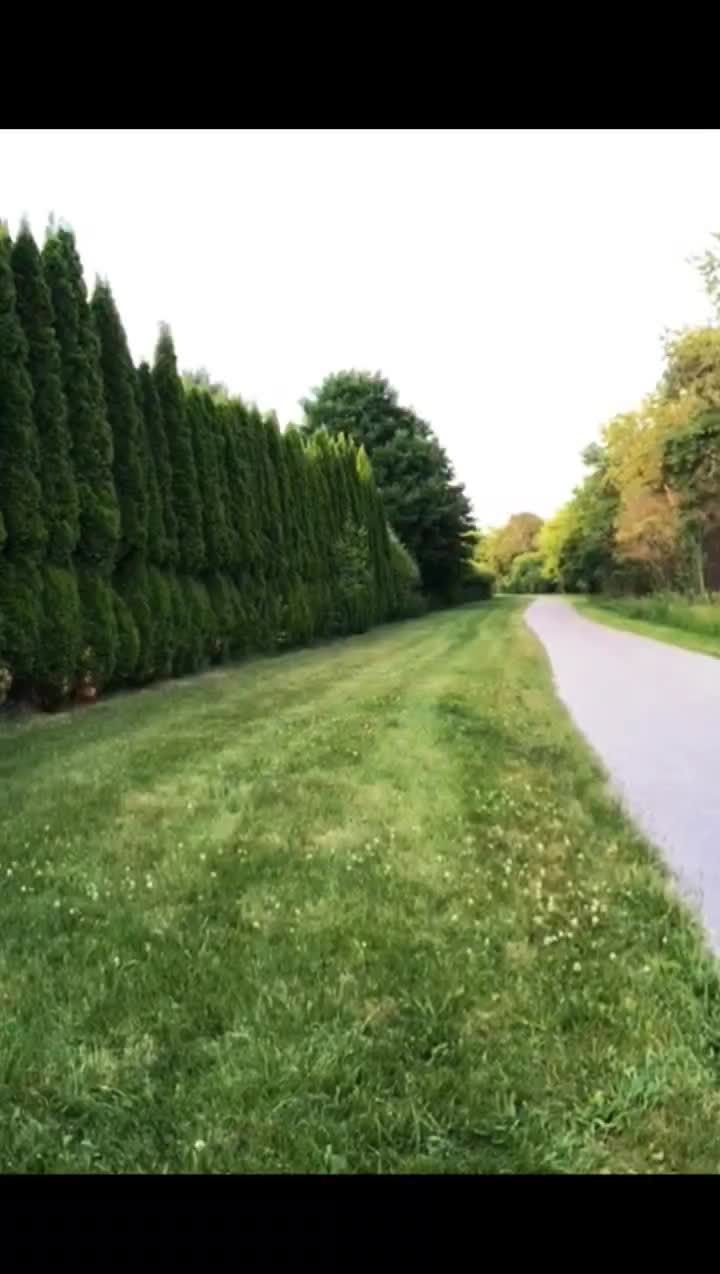 @Julie
