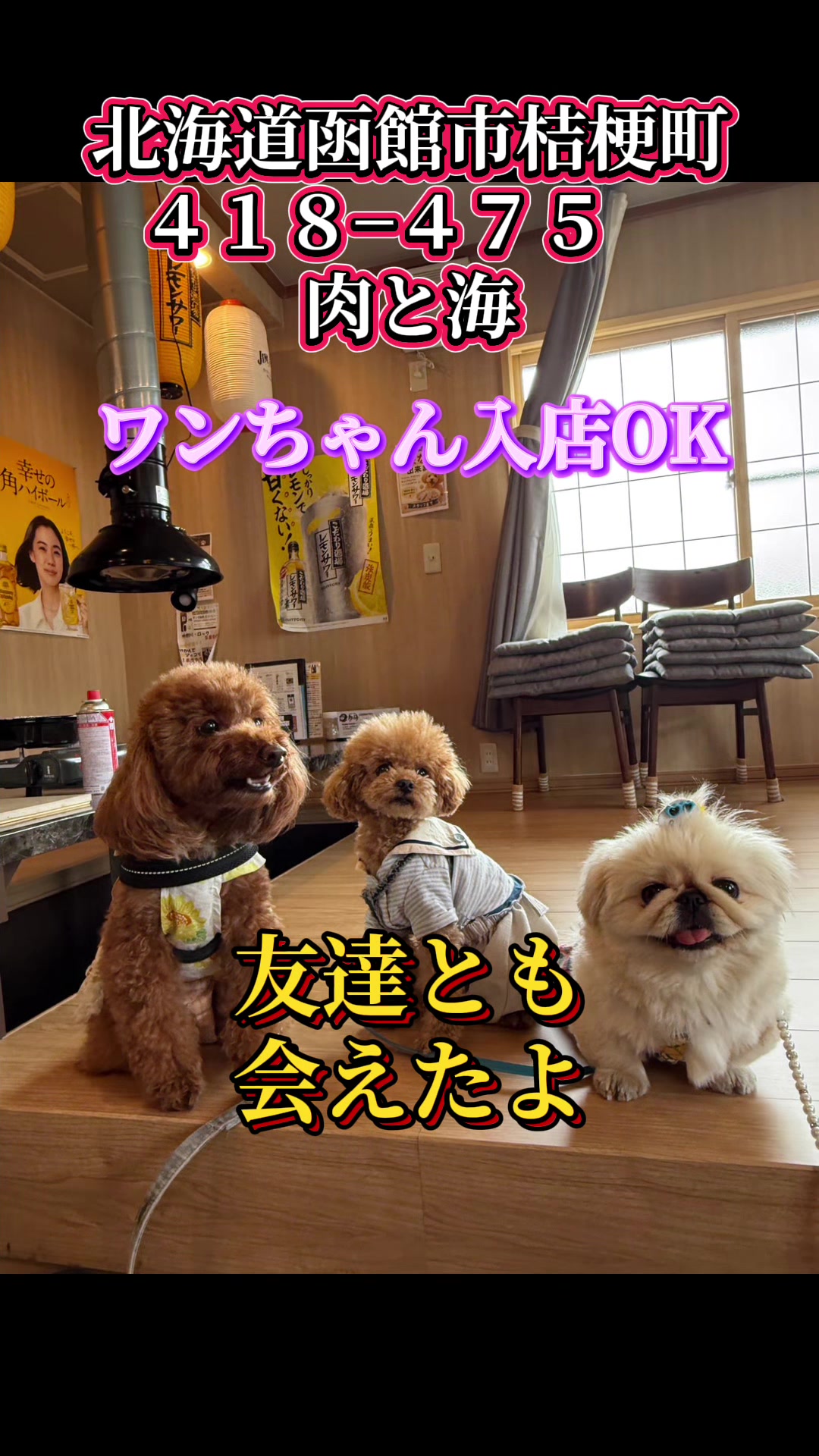@テディきち