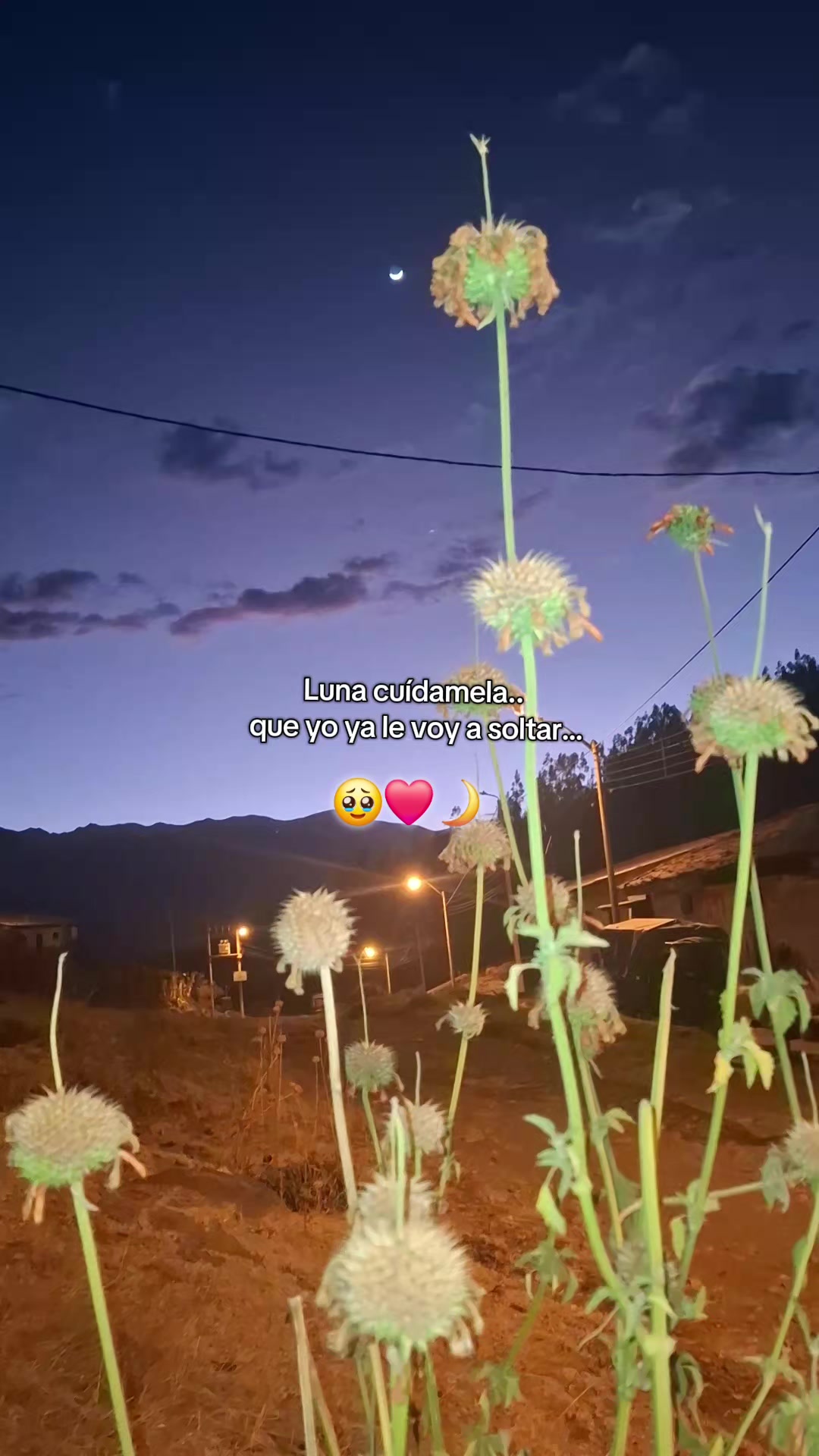 @Elvis A Chavez Ortega ♒️
