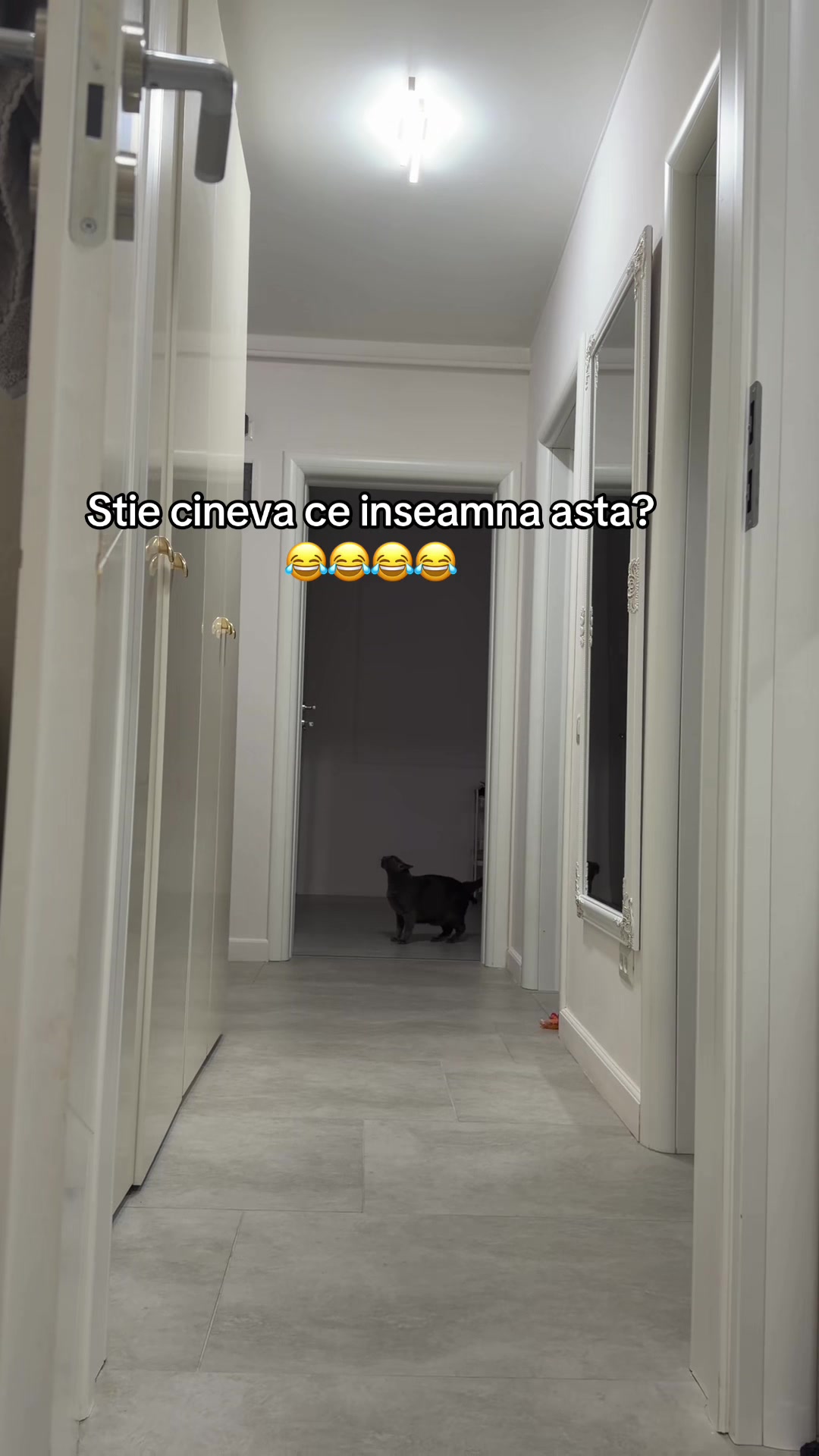 @Ciup Adina