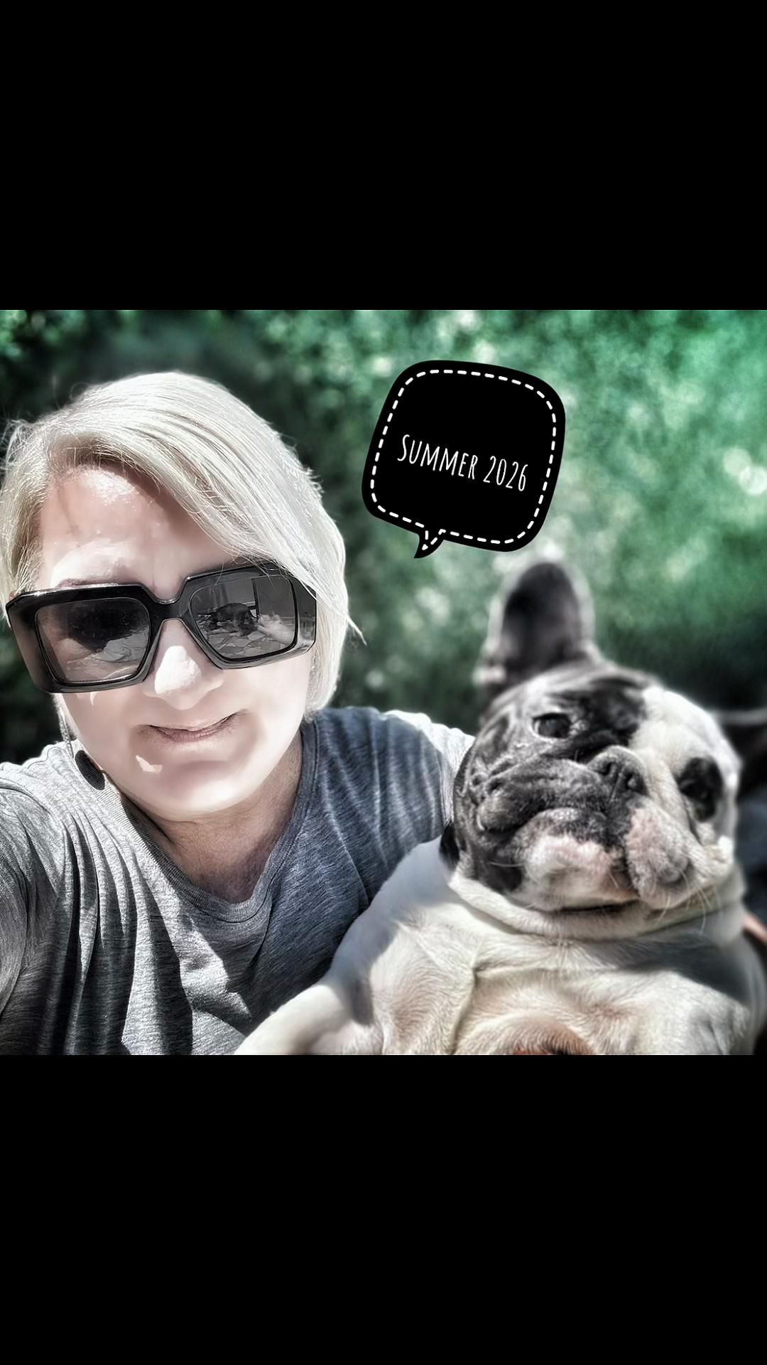 @Bosphorus Bulls French Bulldog