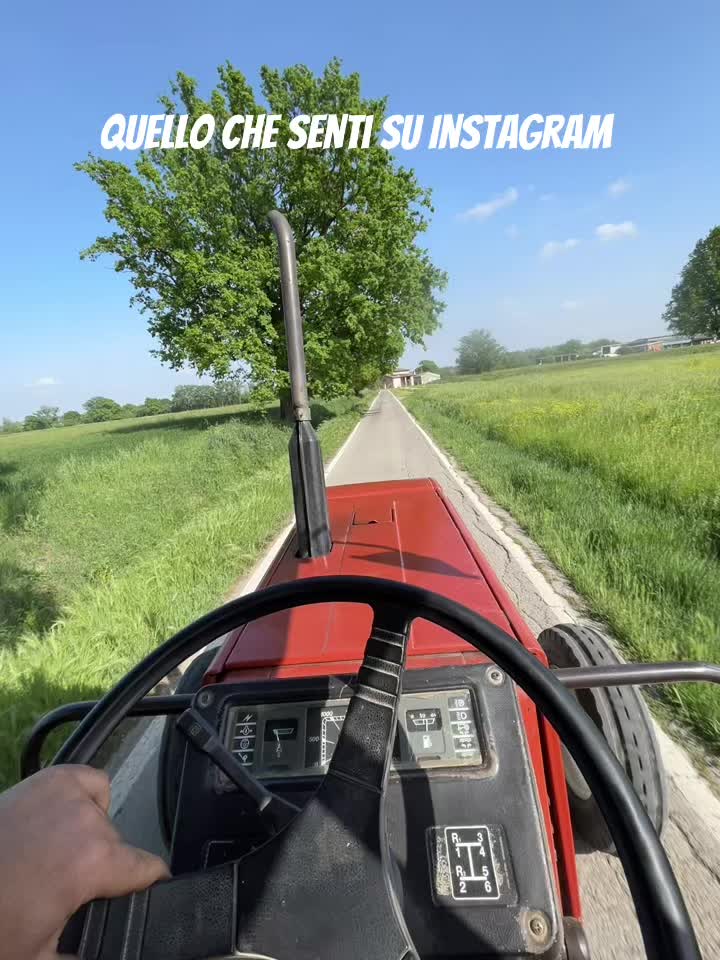 @Mirko Farmer