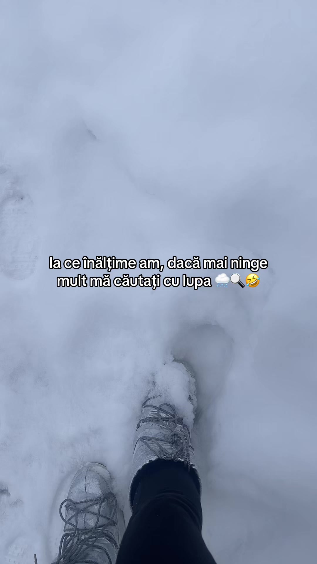 @𝓣 🇹🇩