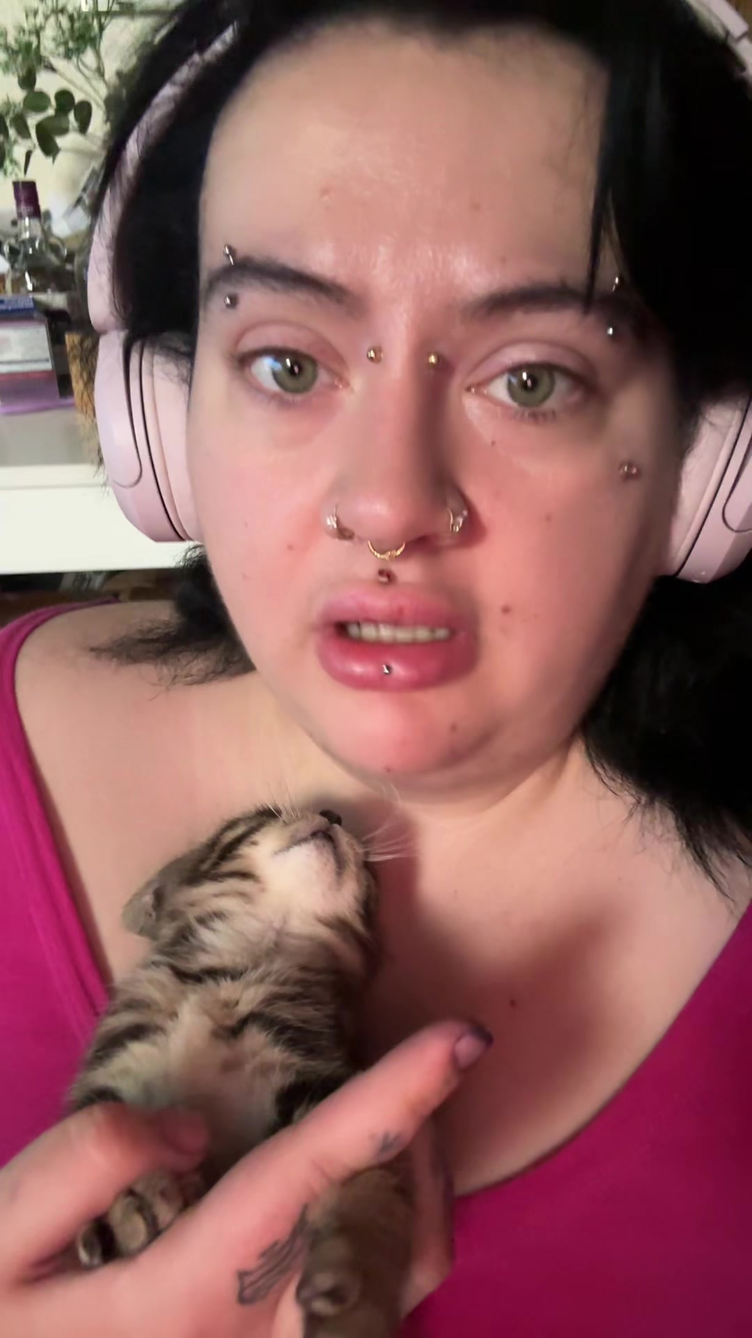@rosierantsandraves
