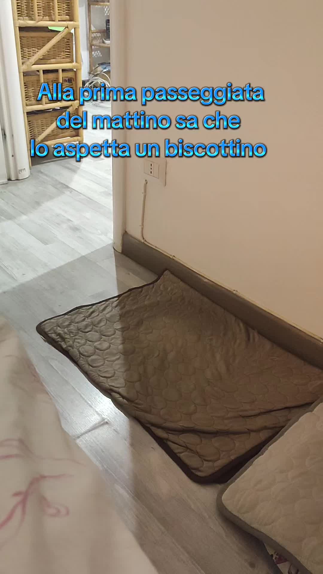 @Max