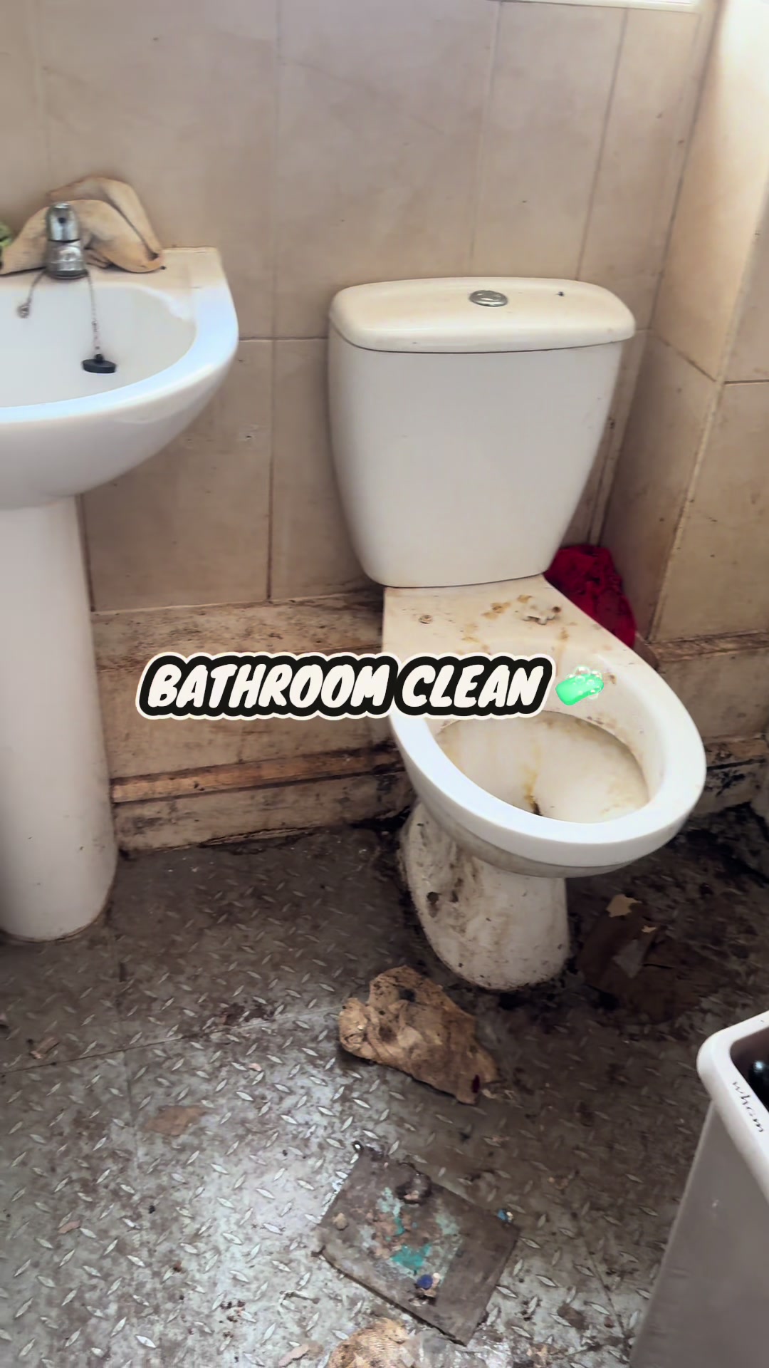 @The clean up company