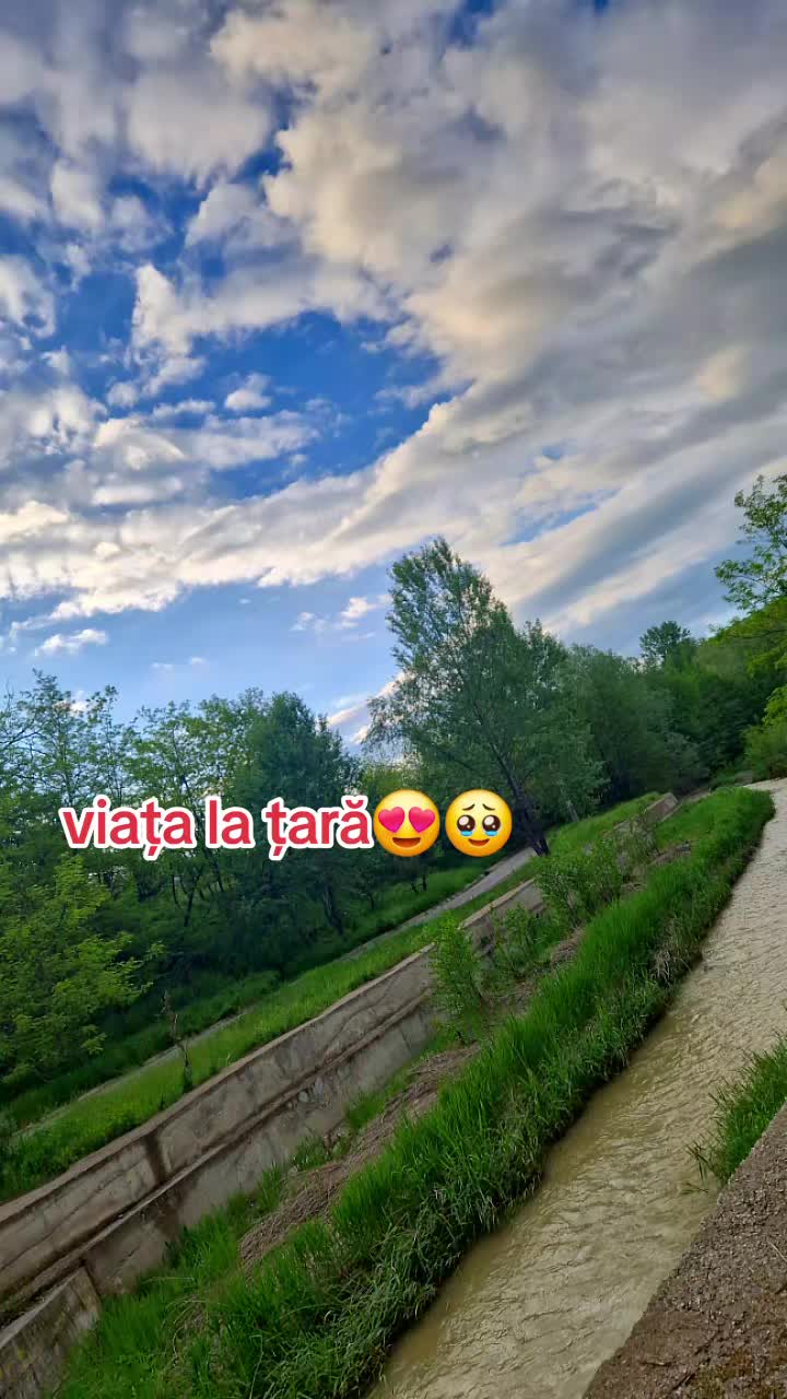 @💎⚔️♥️Ɓïãŋĉä🦋😈🐻