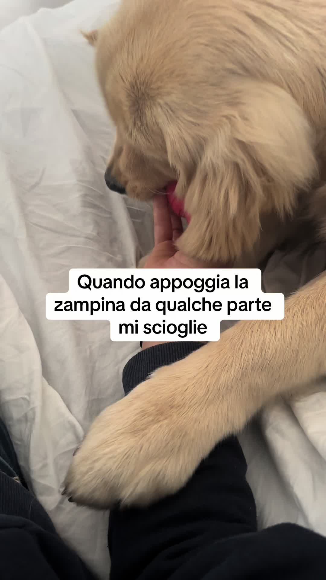 @Raffa&Cali