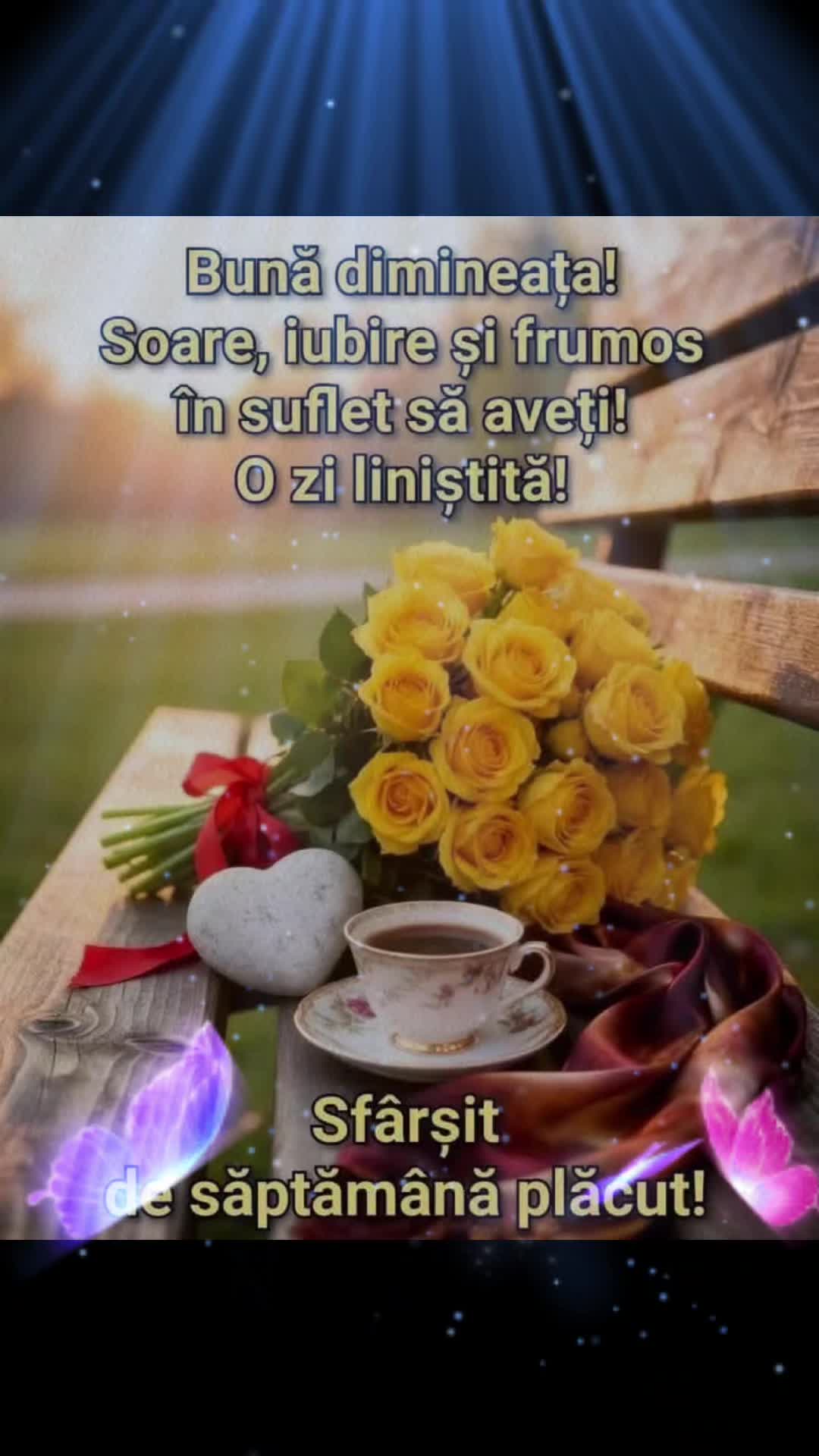 @Nicolae Iamandi Marin