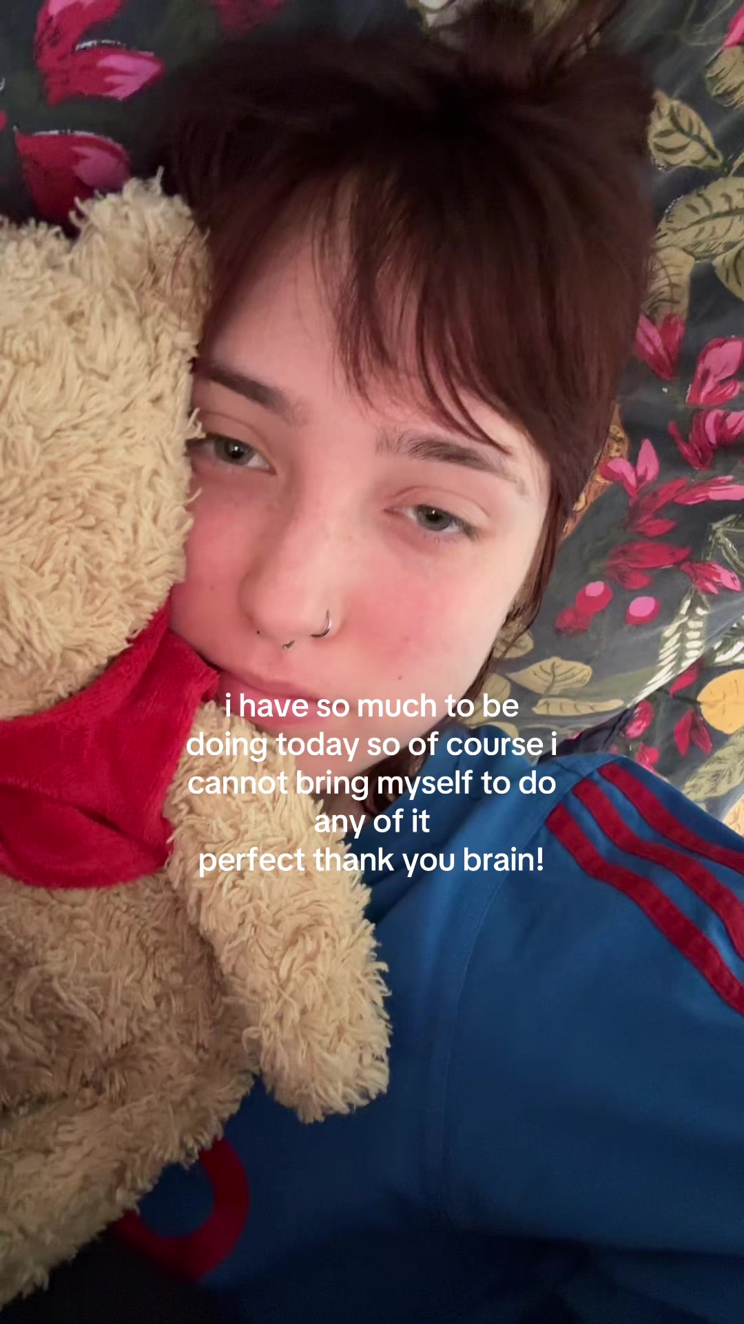 @ladybird