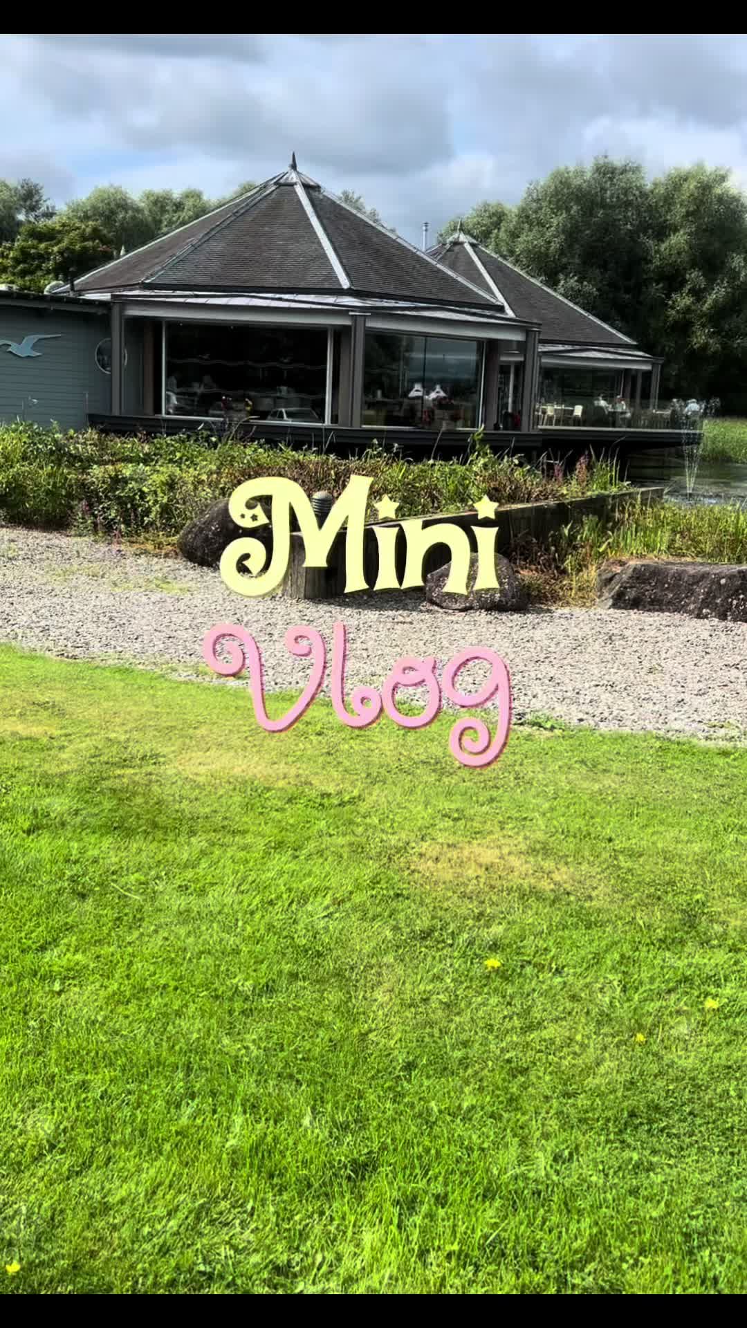 @Michele 🧩 🐅🦋