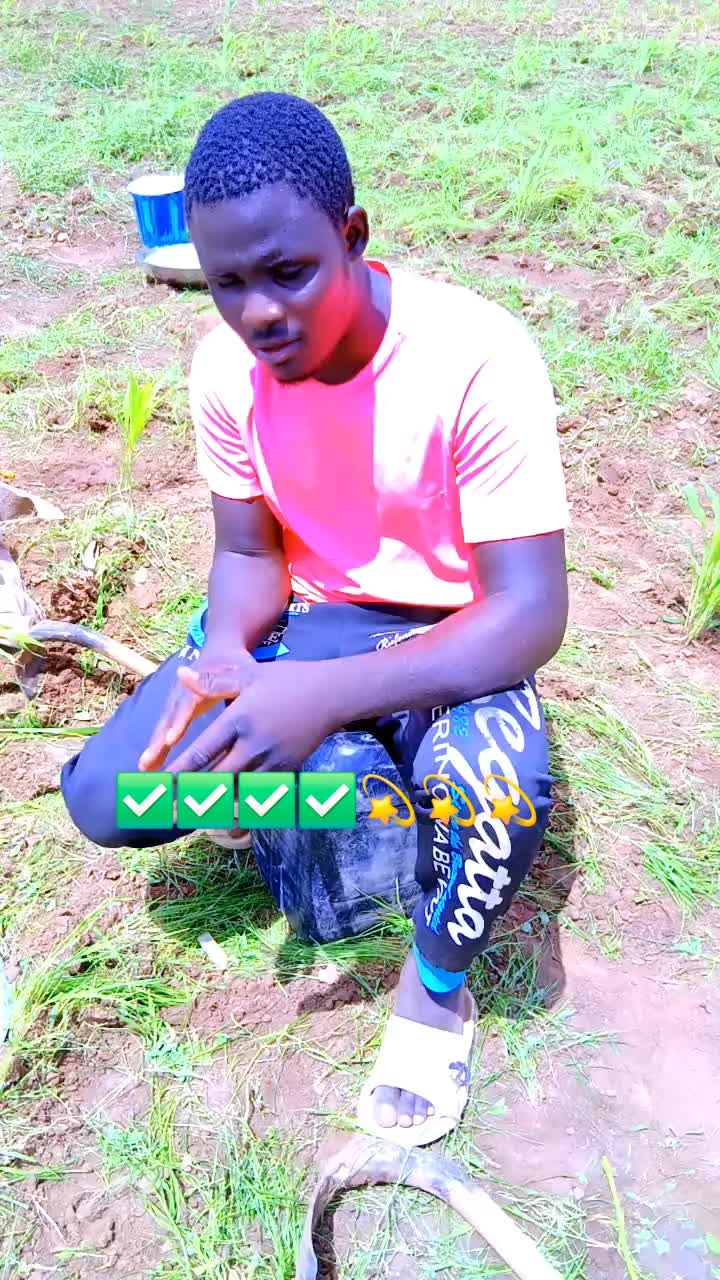 @samane