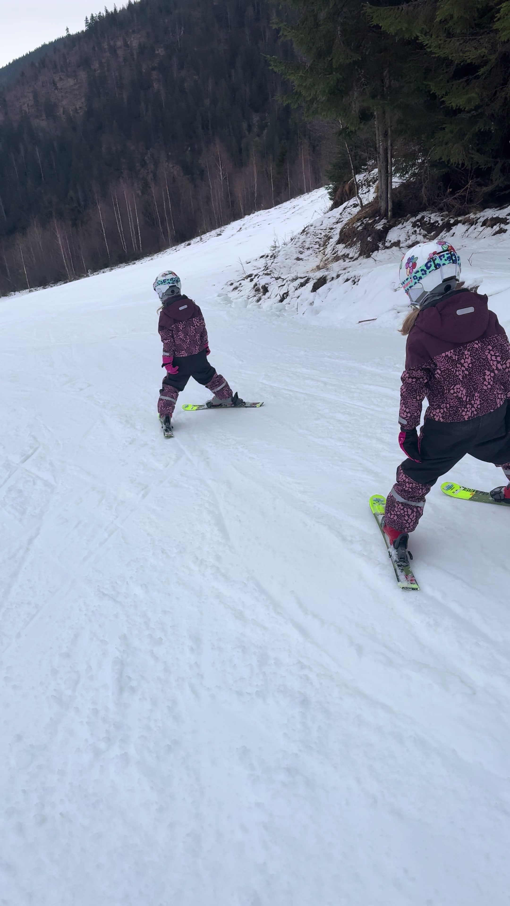 @Forest Ski & Snowboard