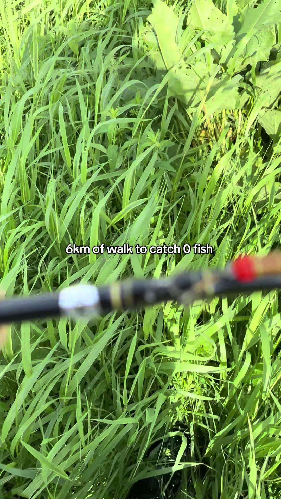 @Fishing With Alekss 🎣💎
