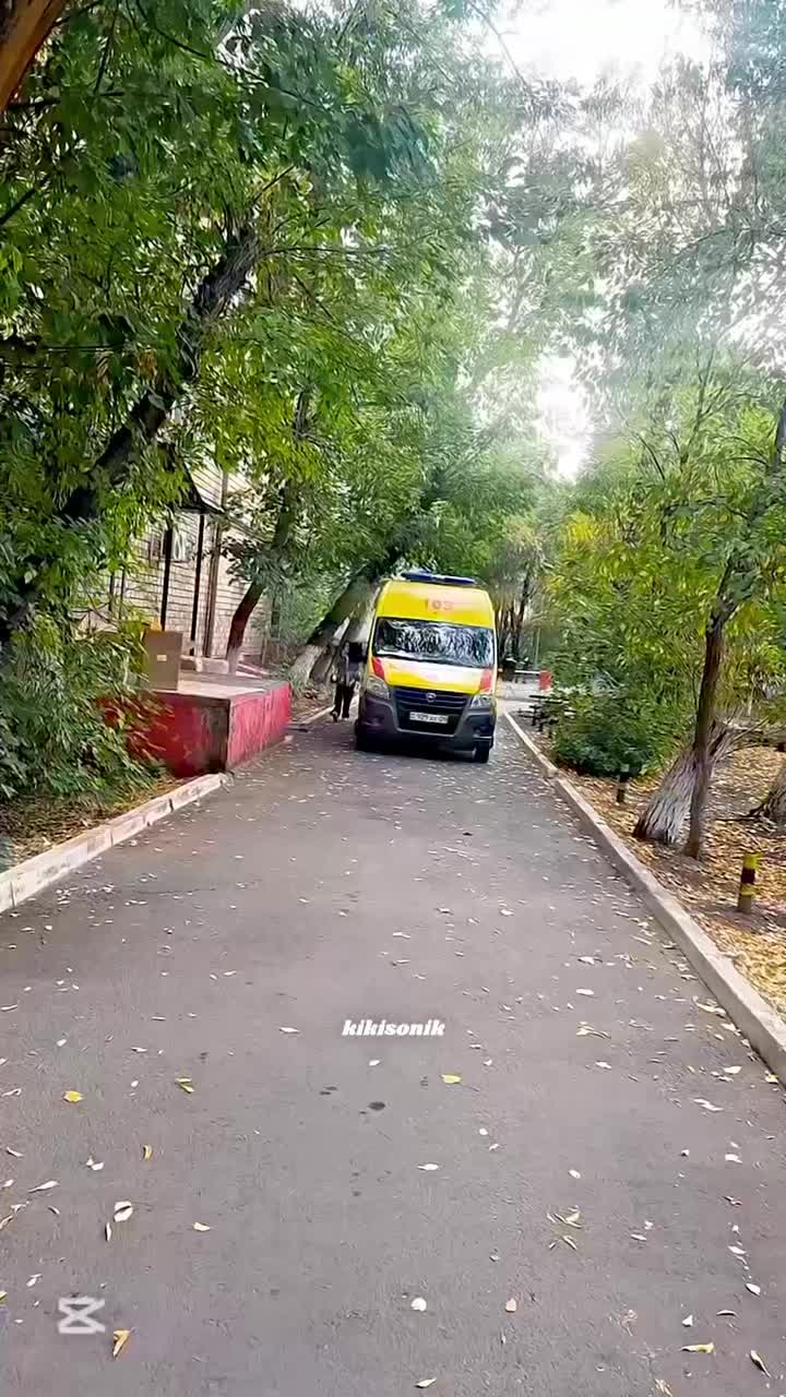 @кикисоник🤍
