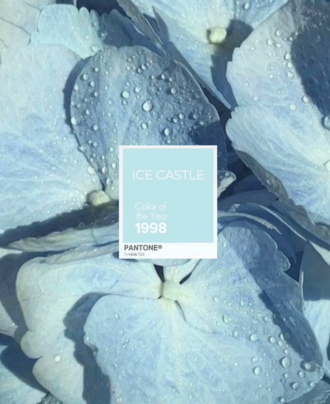 @݁₊ ⊹ 𝓁𝒾𝓀𝑒𝓎 𝓂𝑒 ೃ࿔*