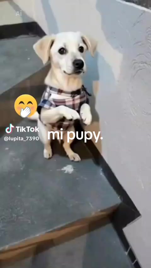 @Lupita Sandoval7390