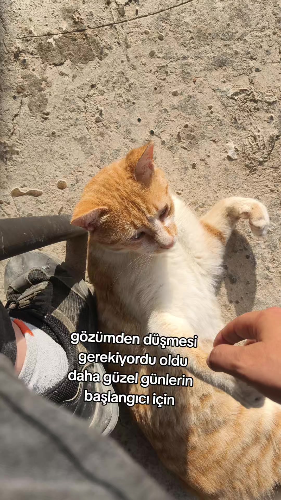 @M