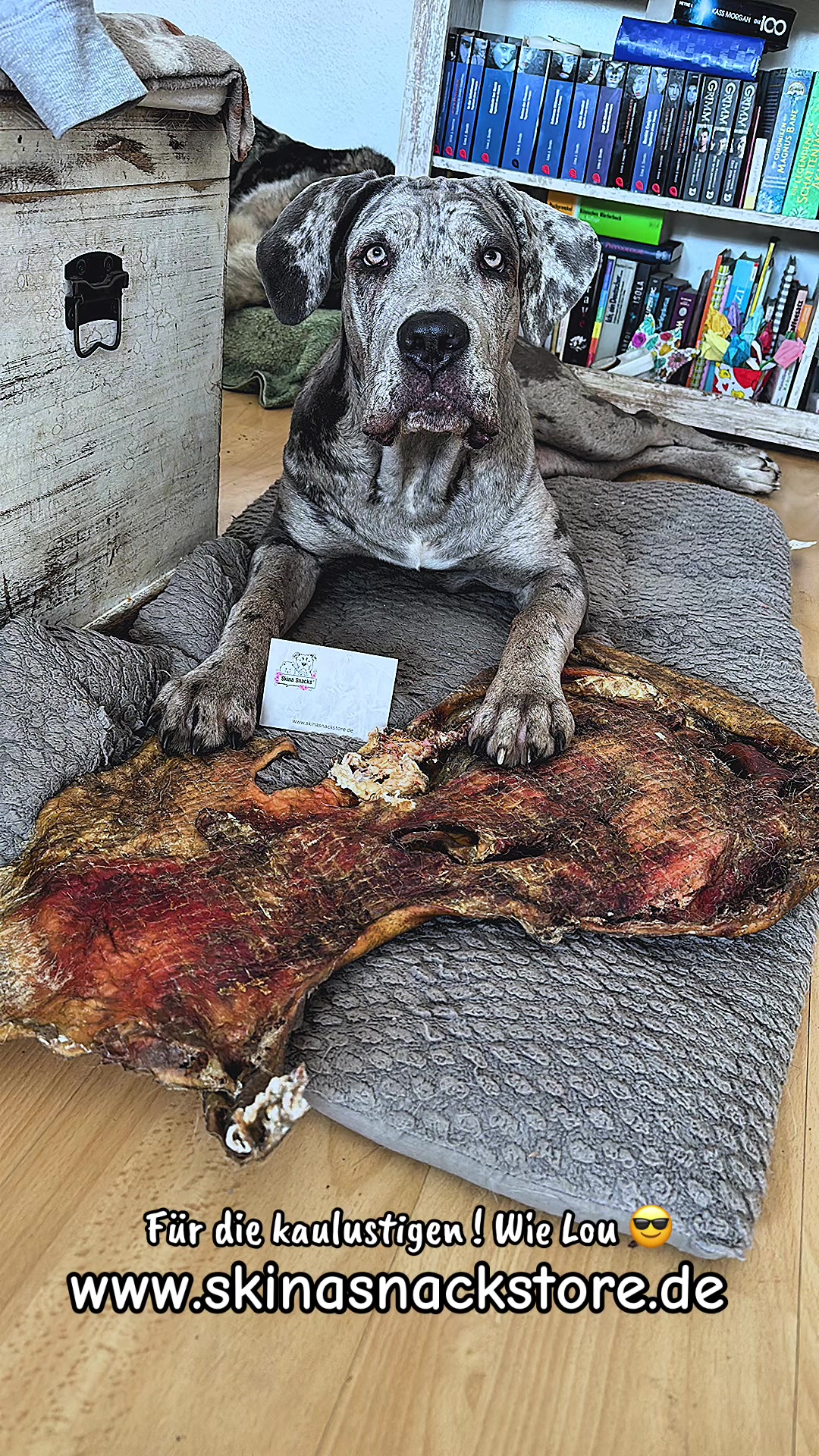 @✨Lou~CaNeCorSo✨