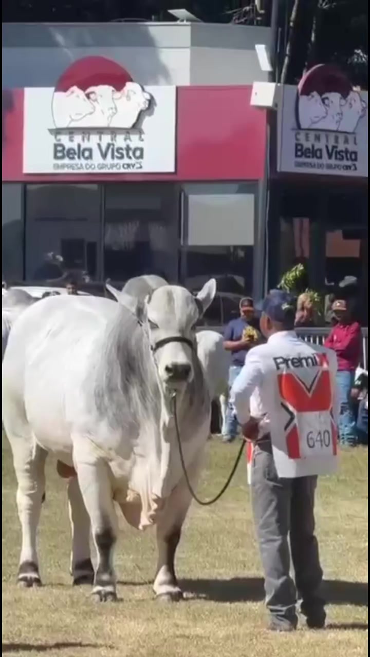 @Carlos Landivar