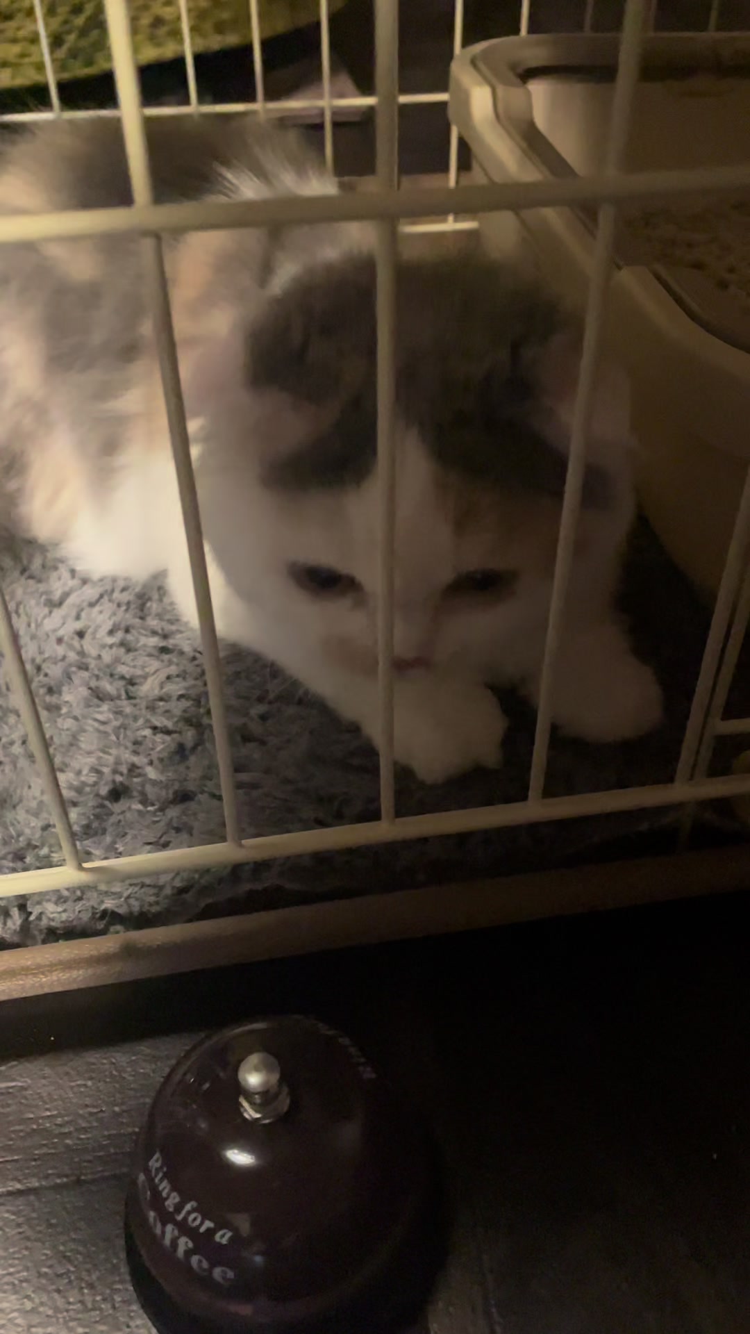 @むぎころ