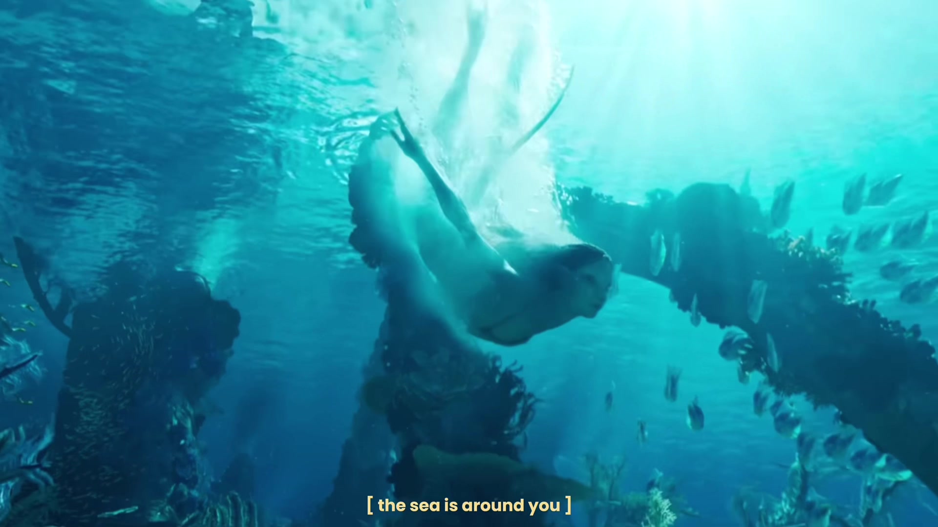 @secret 🐉