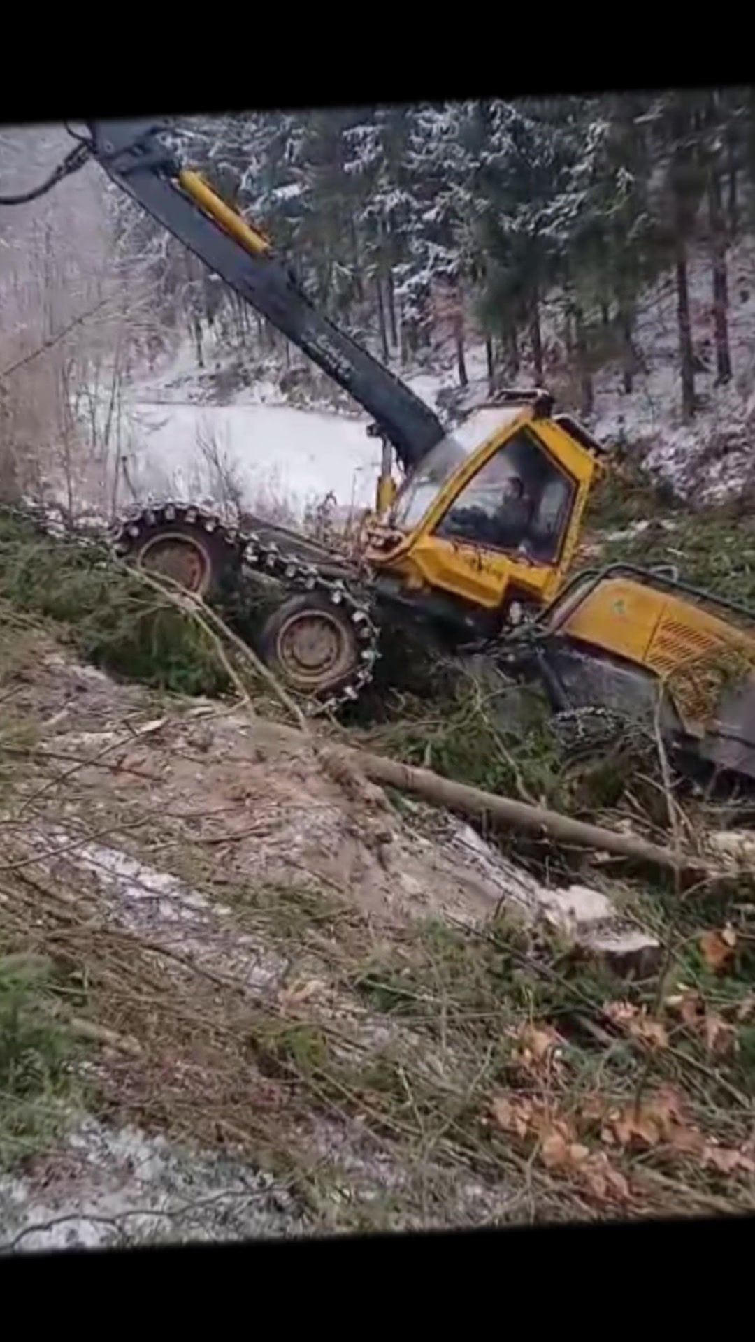 @🌲🌲Prosťě Fidla🤷♂️🤷♂️🌲🌲