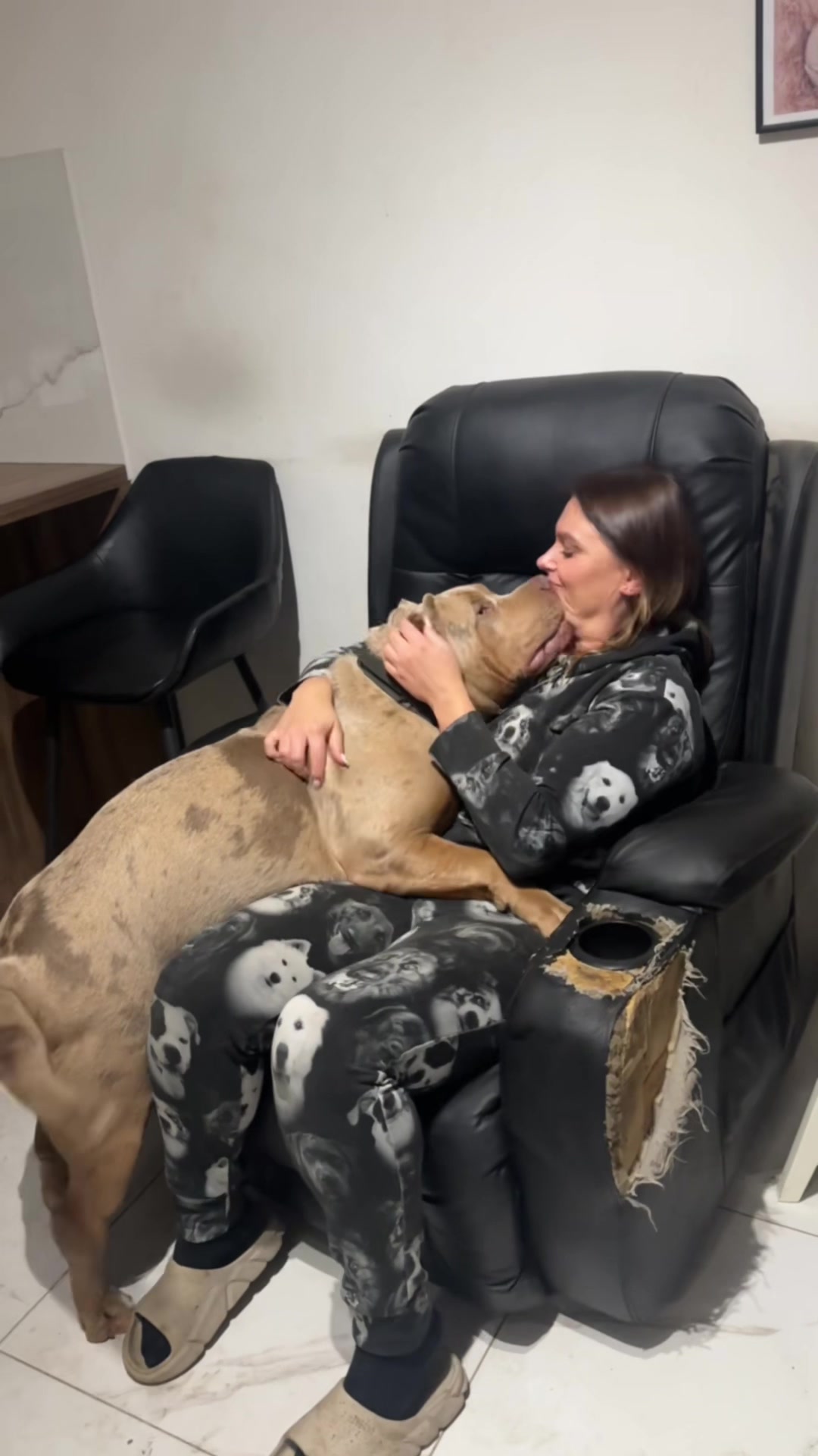 @TopQualityBullyKennel