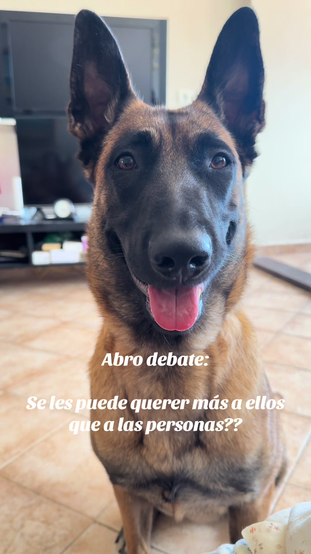 @Lobalobita