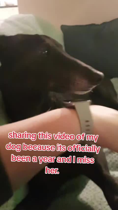 @yourovergrownchippedtoenail
