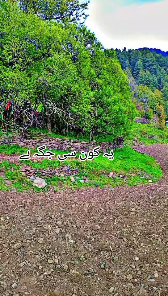 @انجان لڑکی
