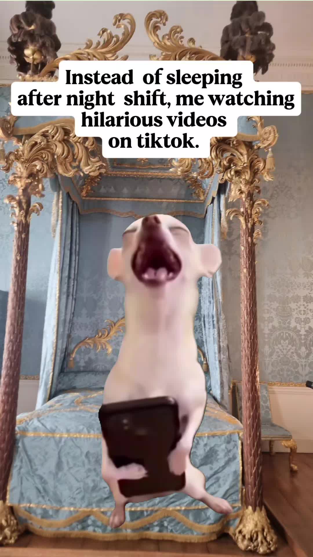 @ukmallu